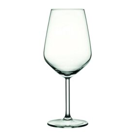 Allegra series wine glass 0.49 liters